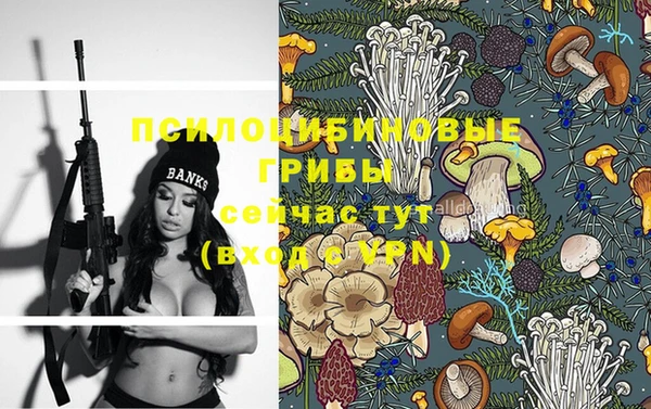 трава Аркадак