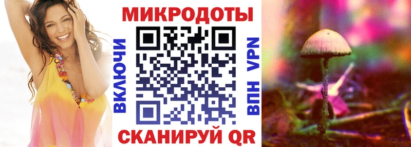 Купить где  Усть-Катав  Псилоцибиновые грибы Psilocybe 